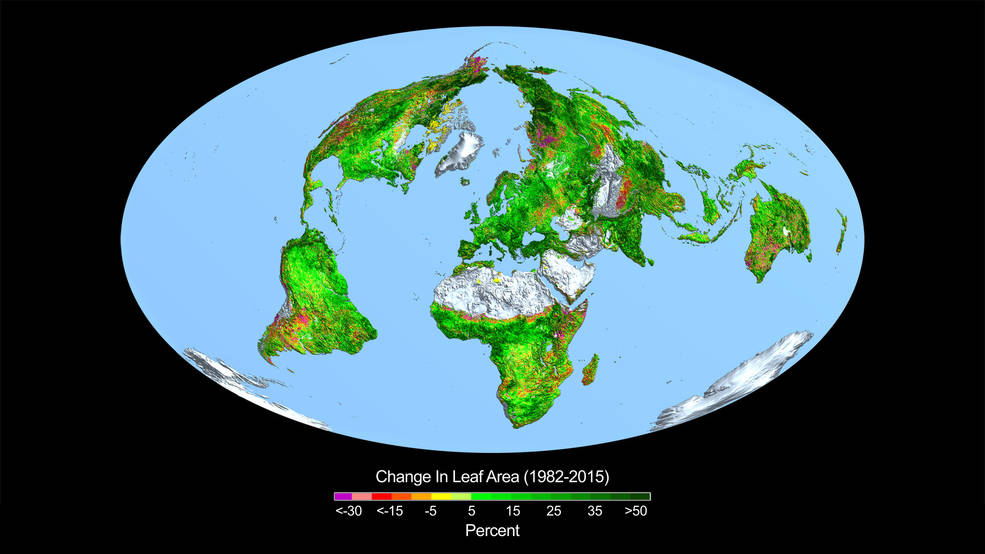 See pilt näitab roheluse muutust üle maailma aastatel 1982-2015. Allikas: Bostoni Ülikool/R. Myneni. Myneni